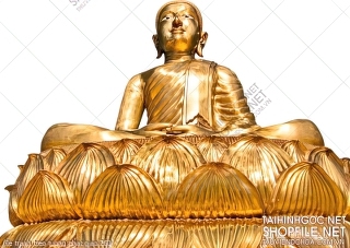 file tranh treo tuong phat giao 260