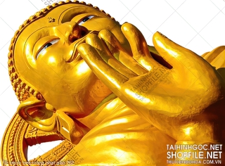 file tranh treo tuong phat giao 262