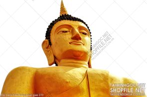 file tranh treo tuong phat giao 273