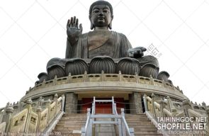 file tranh treo tuong phat giao 290