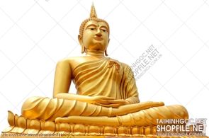 file tranh treo tuong phat giao 311