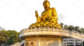 file tranh treo tuong phat giao 313