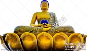 file tranh treo tuong phat giao 314