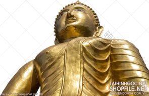 file tranh treo tuong phat giao 318