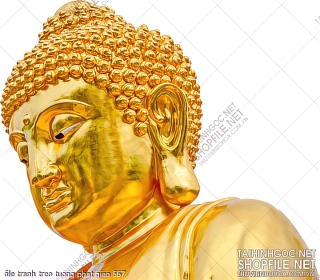 file tranh treo tuong phat giao 567