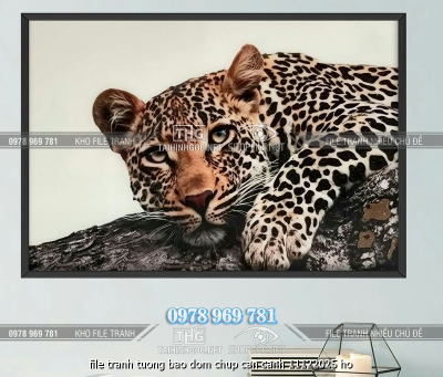 file tranh tuong bao dom chup can canh 11122025 ho