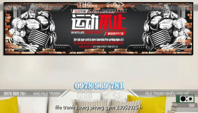 file tranh tuong phong gym 23052025 h