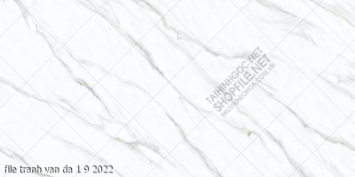 file tranh van da 1 9 2022