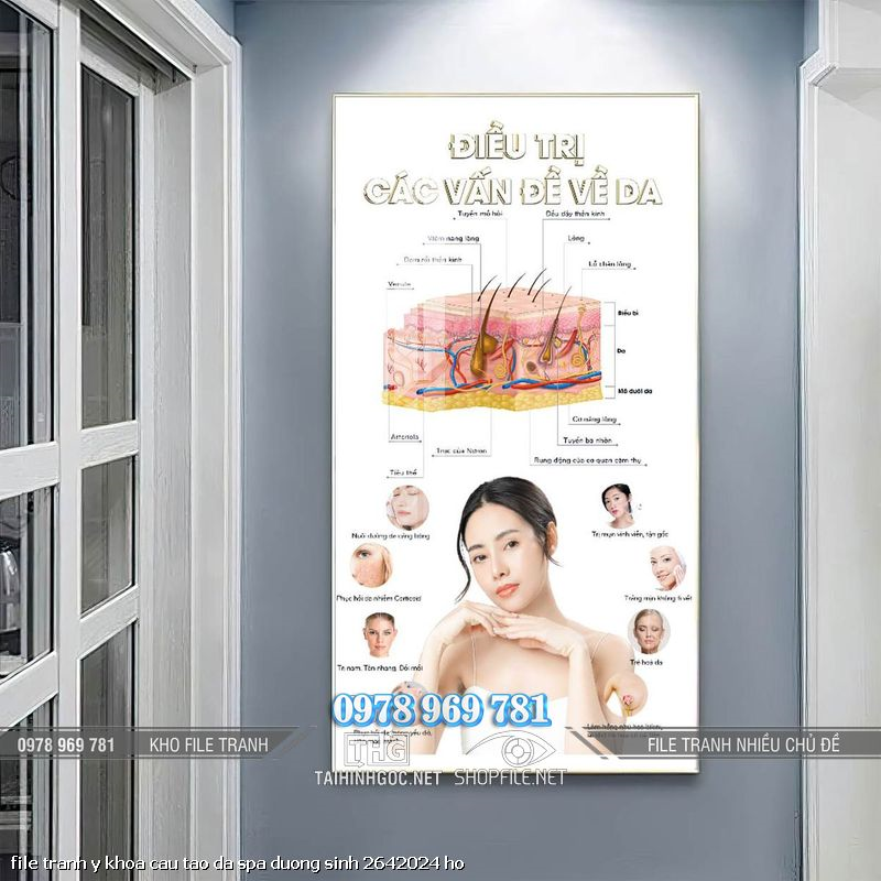 file tranh y khoa cau tao da spa duong sinh 2642024 ho
