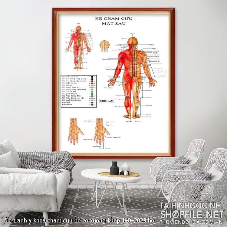 file tranh y khoa cham cuu he co xuong khop 14042023 ho