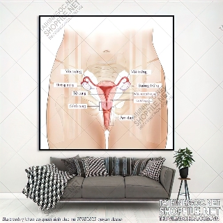 file tranh y khoa co quan sinh duc nu 07032023 quyen