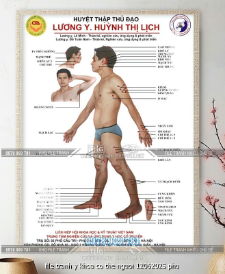 file tranh y khoa co the nguoi 12062025 phu