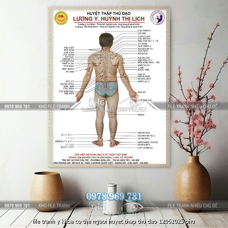 file tranh y khoa co the nguoi huyet thap thu dao 12062025 phu