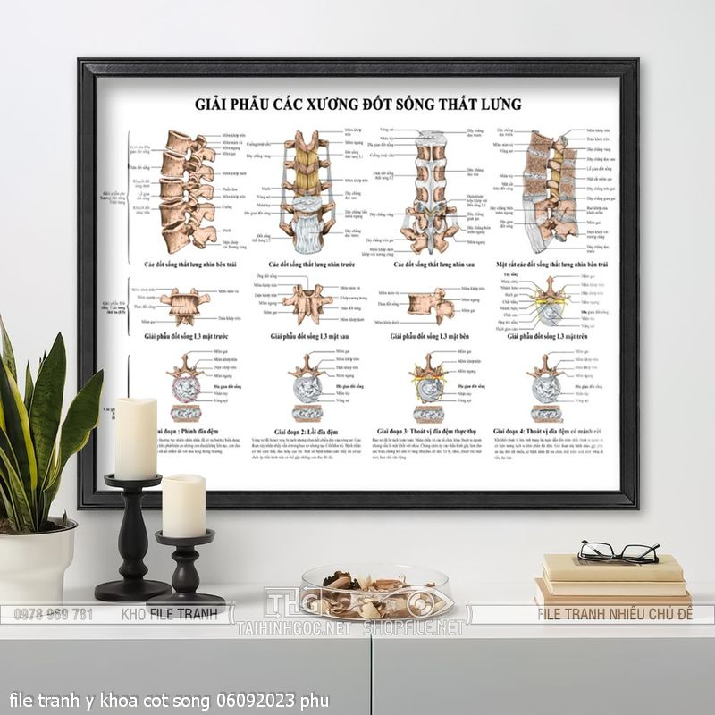 file tranh y khoa cot song 06092023 phu