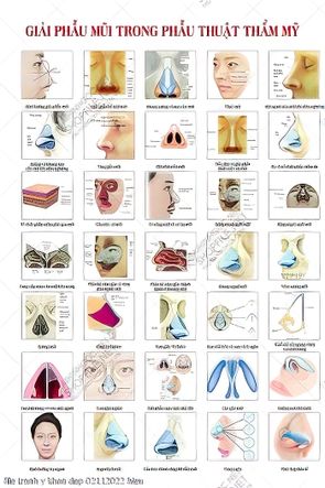 file tranh y khoa dep 02112022 hieu