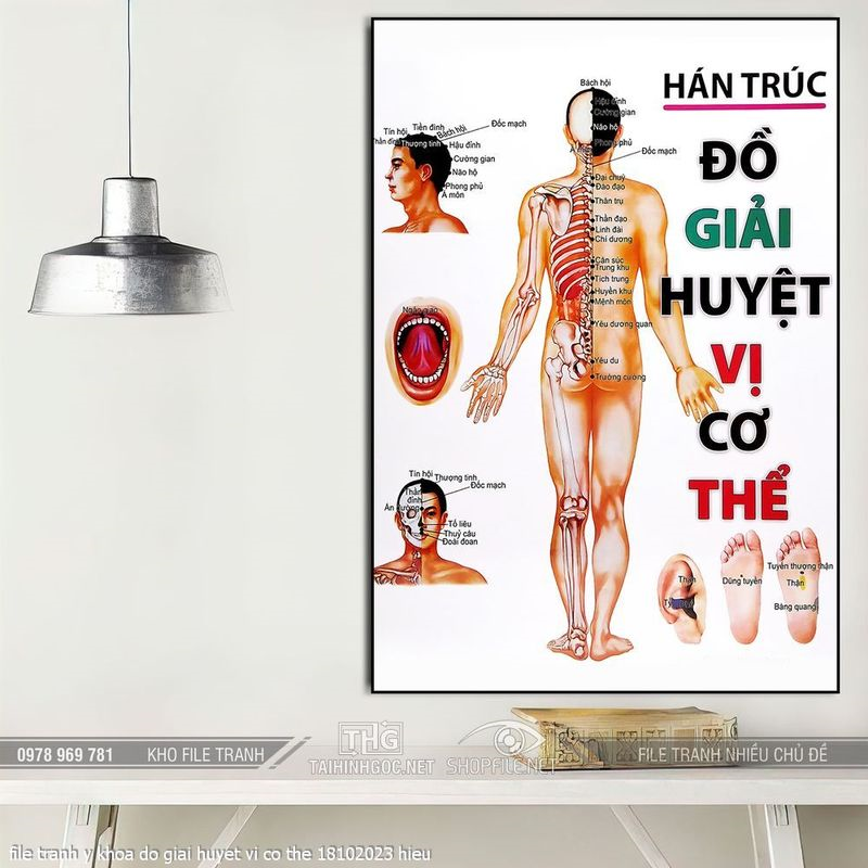 file tranh y khoa do giai huyet vi co the 18102023 hieu