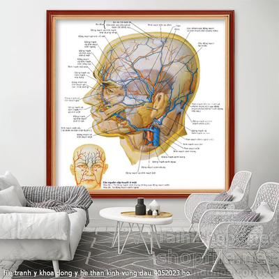file tranh y khoa dong y he than kinh vung dau 4052023 ho