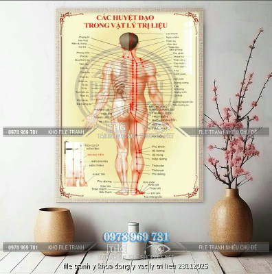 file tranh y khoa dong y vat ly tri lieu 28112025