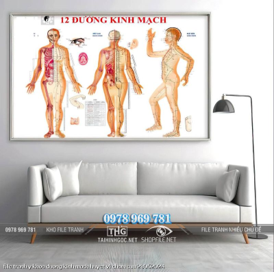 file tranh y khoa duong kinh mach huyet vi cham cuu 28052024