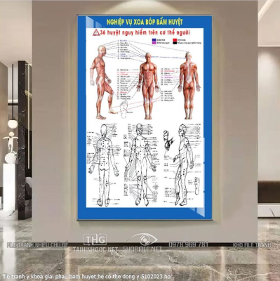 file tranh y khoa giai phau bam huyet he co the dong y 5102023 ho