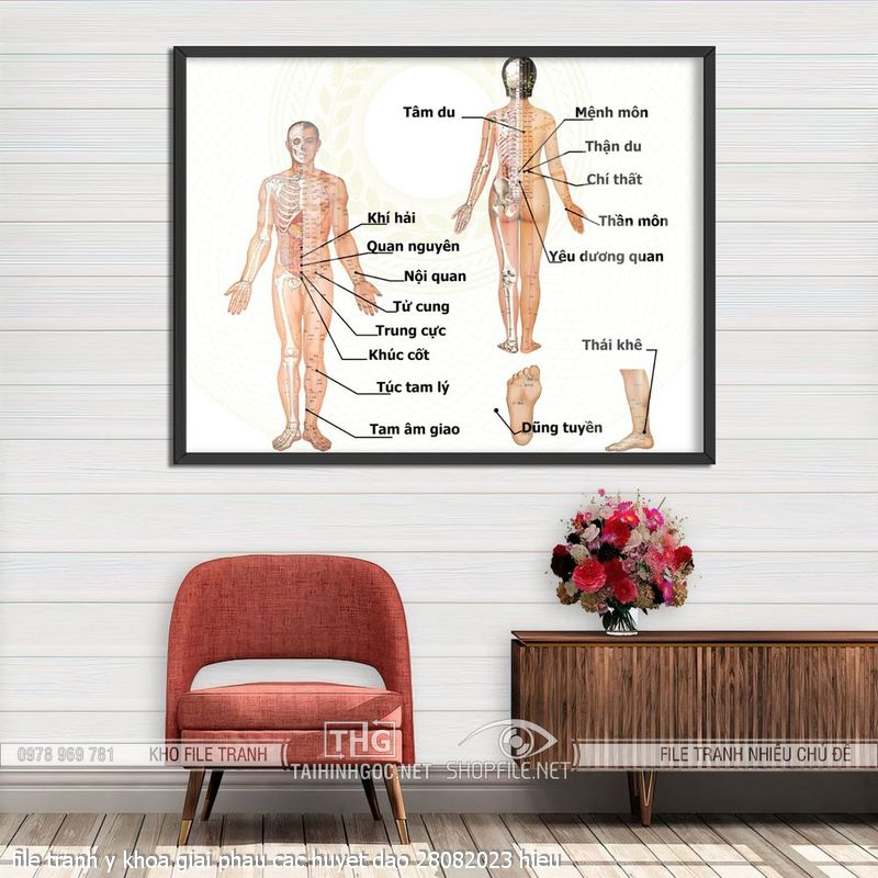 file tranh y khoa giai phau cac huyet dao 28082023 hieu