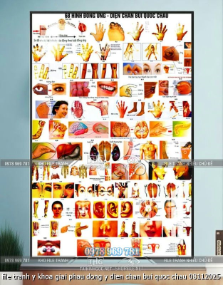 file tranh y khoa giai phau dong y dien chan bui quoc chau 08112025