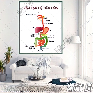 file tranh y khoa giai phau he tieu hoa 29032023 ho