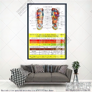 file tranh y khoa giai phau huyet dao chan 07032023 hieu