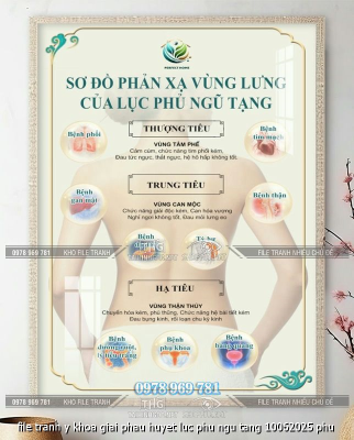 file tranh y khoa giai phau huyet luc phu ngu tang 10062025 phu