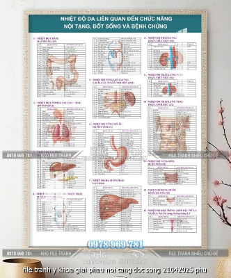 file tranh y khoa giai phau noi tang dot song 21042025 phu