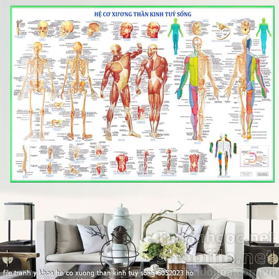 file tranh y khoa he co xuong than kinh tuy song 6052023 ho