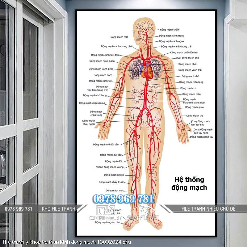 file tranh y khoa he than kinh dong mach 13032024 phu