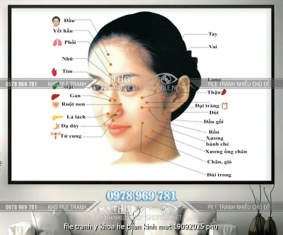 file tranh y khoa he than kinh mat 19092025 phu