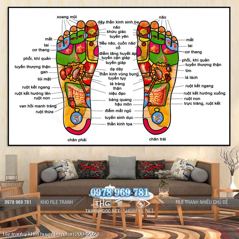 file tranh y khoa huyet ban chan 20042024