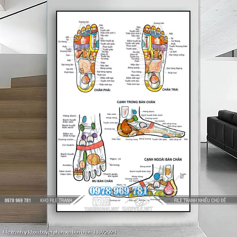 file tranh y khoa huyet phan xa ban chan 11072024