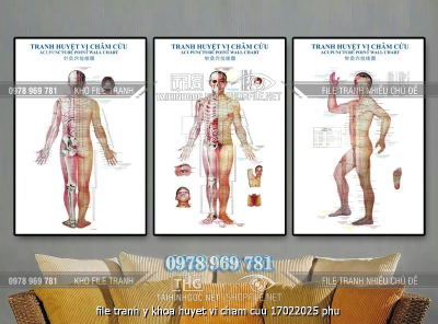 file tranh y khoa huyet vi cham cuu 17022025 phu