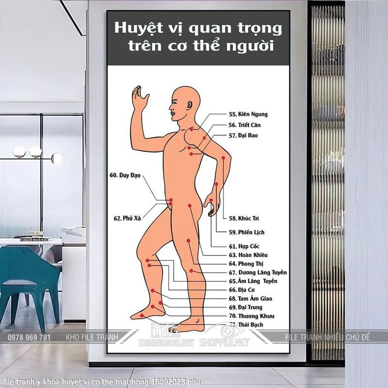 file tranh y khoa huyet vi co the mat hong 18092023 phu
