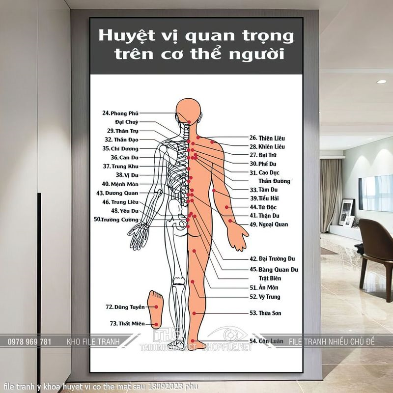 file tranh y khoa huyet vi co the mat sau 18092023 phu