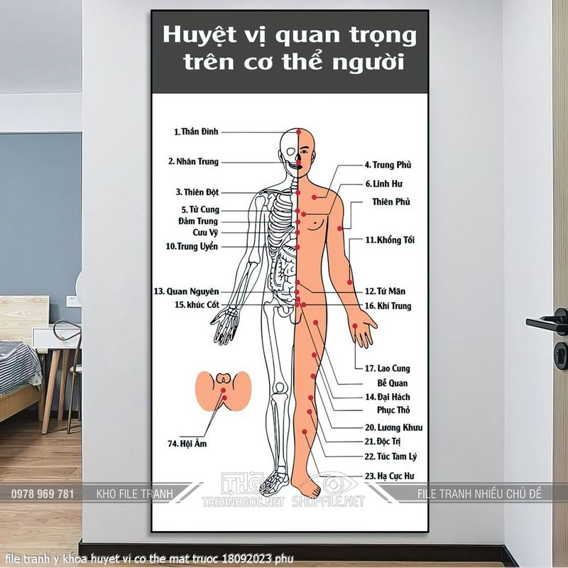 file tranh y khoa huyet vi co the mat truoc 18092023 phu