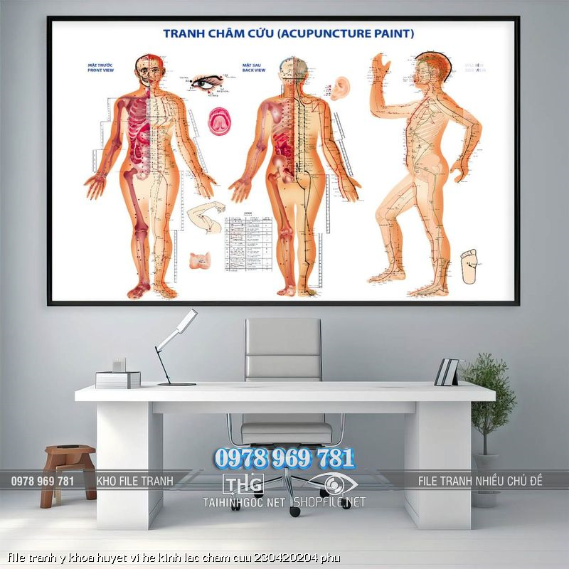 file tranh y khoa huyet vi he kinh lac cham cuu 230420204 phu