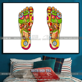 file tranh y khoa matxa huyet dao ban chan 17102025