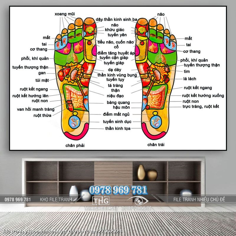 file tranh y khoa matxa huyet dao ban chan 27062024