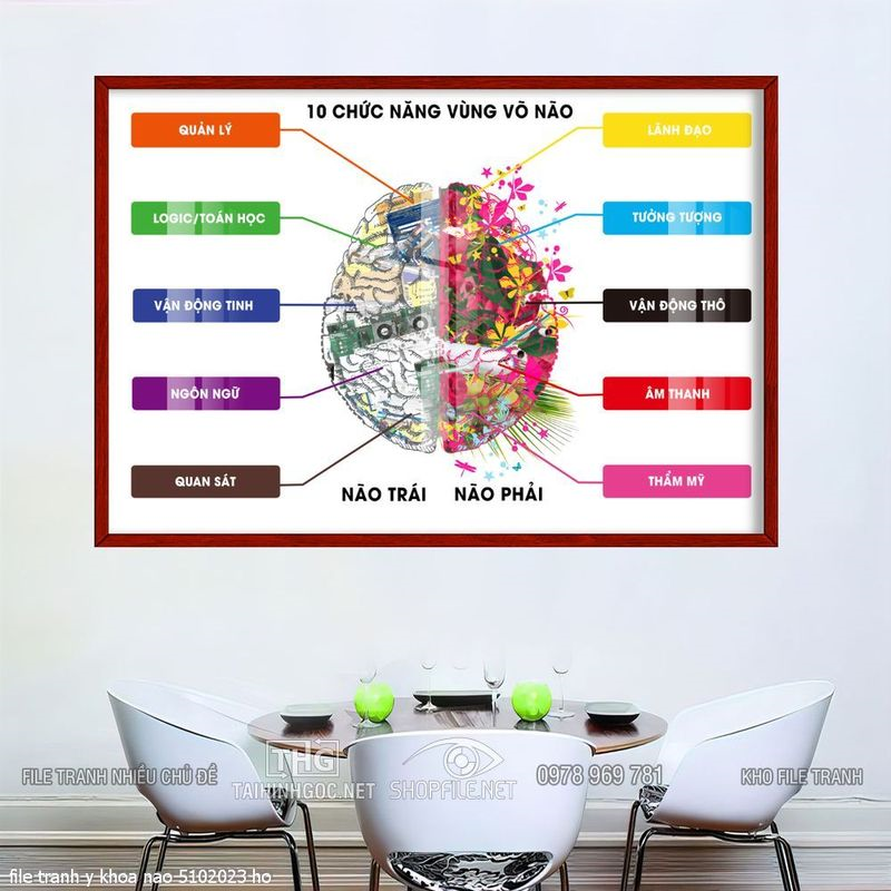 file tranh y khoa nao 5102023 ho