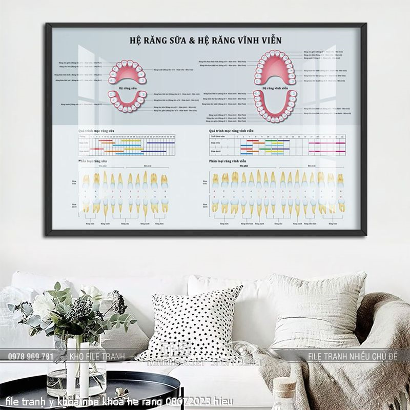 file tranh y khoa nha khoa he rang 08072023 hieu