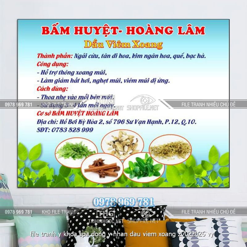 file tranh y khoa spa dong y nhan dau viem xoang 27022026 vy