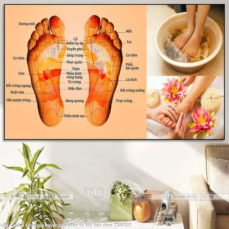file tranh y khoa spa huyet dao phan xa hoc ban chan 2309202