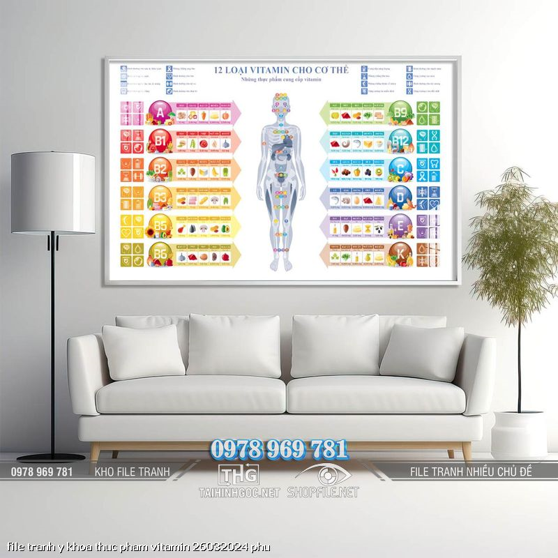 file tranh y khoa thuc pham vitamin 26032024 phu