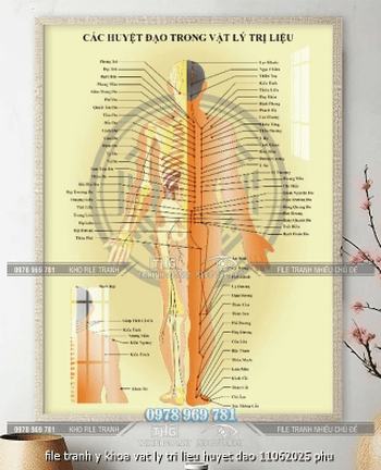 file tranh y khoa vat ly tri lieu huyet dao 11062025 phu