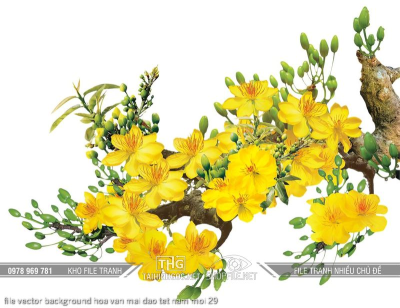 file vector background hoa van mai dao tet nam moi 29
