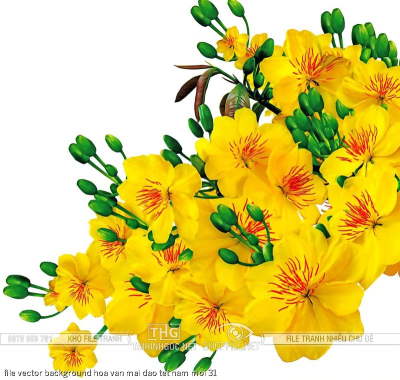 file vector background hoa van mai dao tet nam moi 31